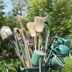 Too Much Is Enough Image